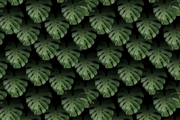 Dark Monstera Leaves Seamless Pattern: A Versatile Design for Modern Creatives