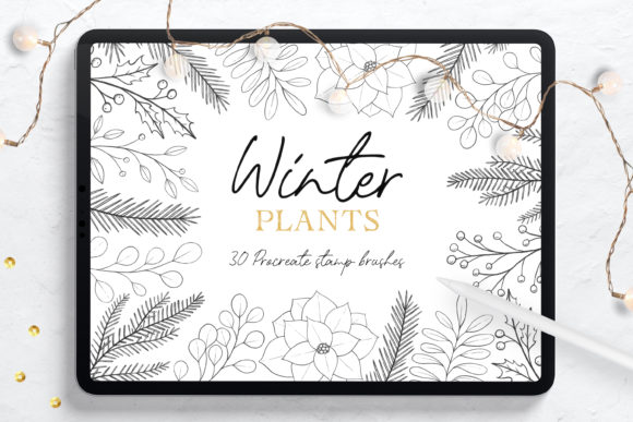 Winter Plants Procreate Stamp Brushes: A Creative Tool for Digital Artists
